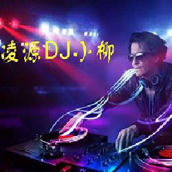 DJ小柳